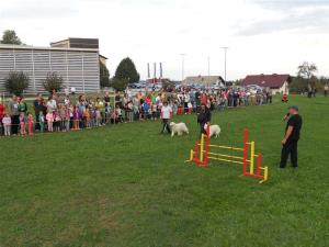 Jaz in očka tečeva 5